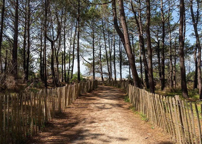 A - 4 Pers, Proche Et Commerces, Terrasse, Menage Inclus - Fr-1-319-394 Apartment Biscarrosse-Plage